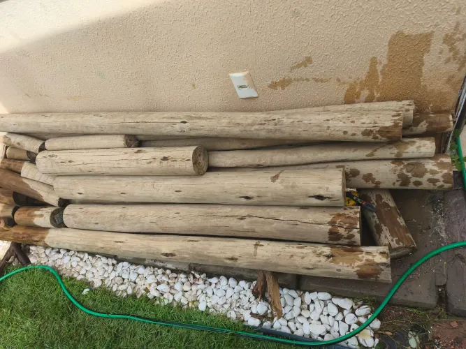Vendo peças de eucalipto 