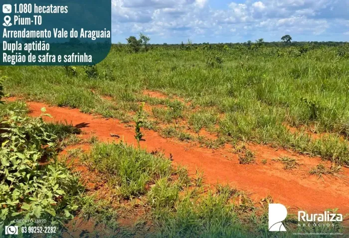 Arrendamento Agrícola no Vale do Araguaia  TO | Área Plana e Produtiva