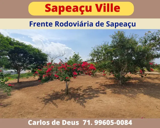 Loteamento em Sapeaçu, frente Rodoviária, Área de Lazer, lotes a partir de 300 m²