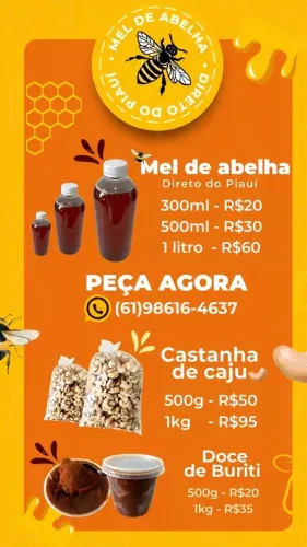 Mel puro - direto do Piauí