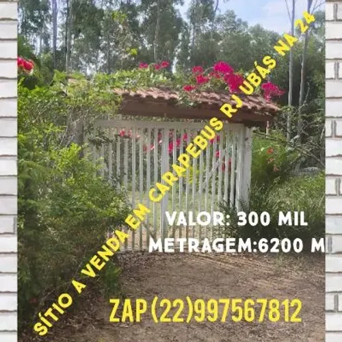 Na 24