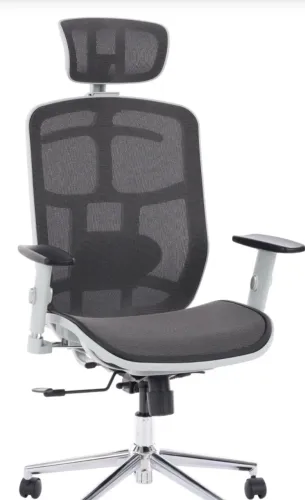 Cadeira de Escritório Ergonômica Executiva 