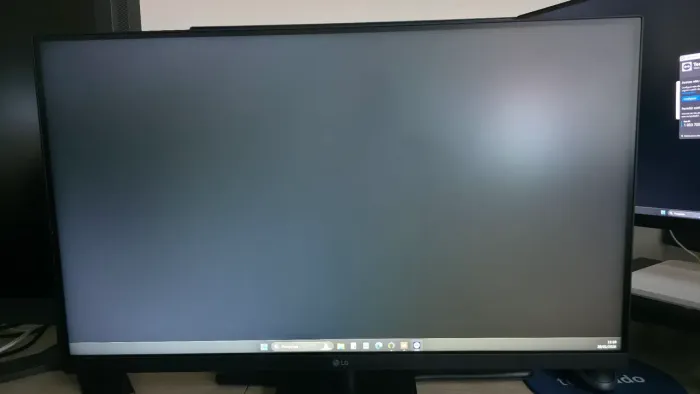 Monitor LG