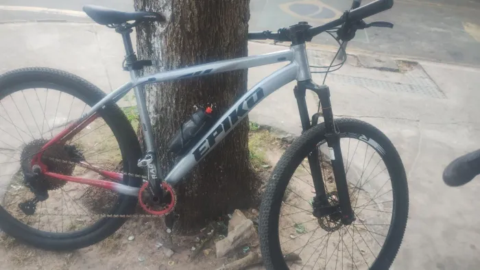 Bike MTB 29 Tam 19