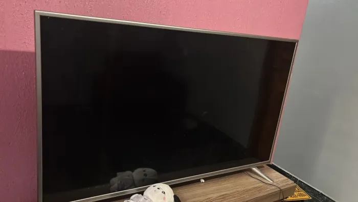 TV - 55 Polegadas