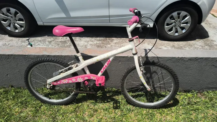 Bicicleta infantil aro 20 