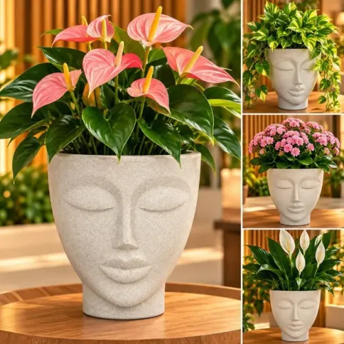 Vaso Decorativo em Forma de Rosto Mulher com Planta de Interior Polietileno