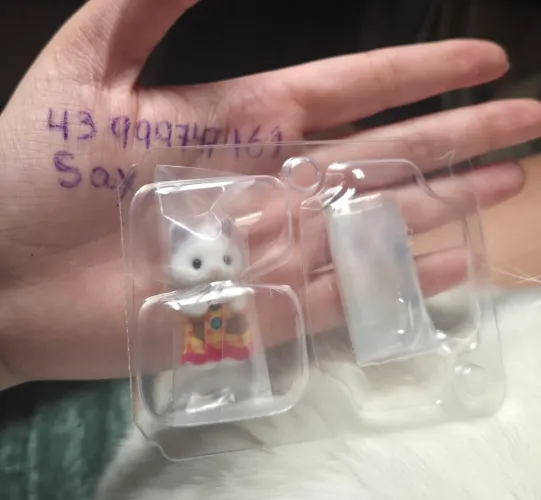 Sylvanian families - blind bag - gato latte surpresa