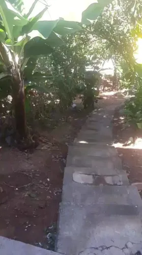 Casa independente com amplo terreno e árvores frutíferas