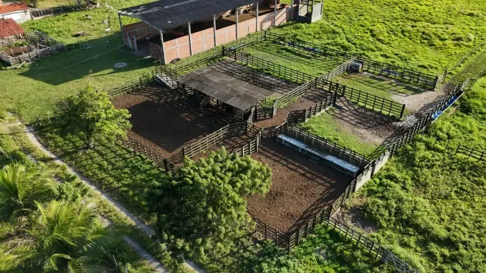 fazenda com 250 hectares na região de brejinho toda piquetada com boa estrutura