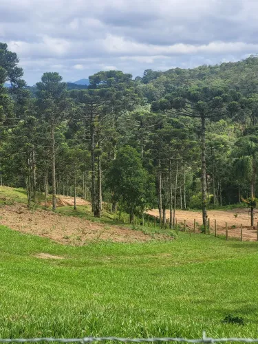 TERRENO RURAL em CAMPO ALEGRE - SC, Laranjeiras