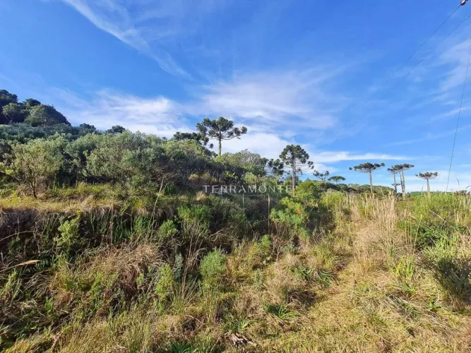 Fazenda escriturada com 70 hectares e ampla viabilidade de uso em Bom Jardim da Serra/SC