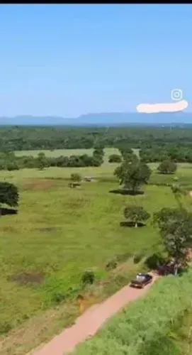 Fazenda de Pecuária à Venda Monte Alegre de Goiás