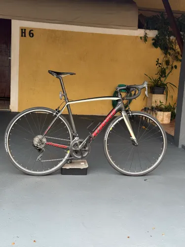 Bicicleta speed