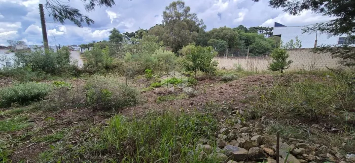 Terreno Loteamento Primavera em Farroupilha