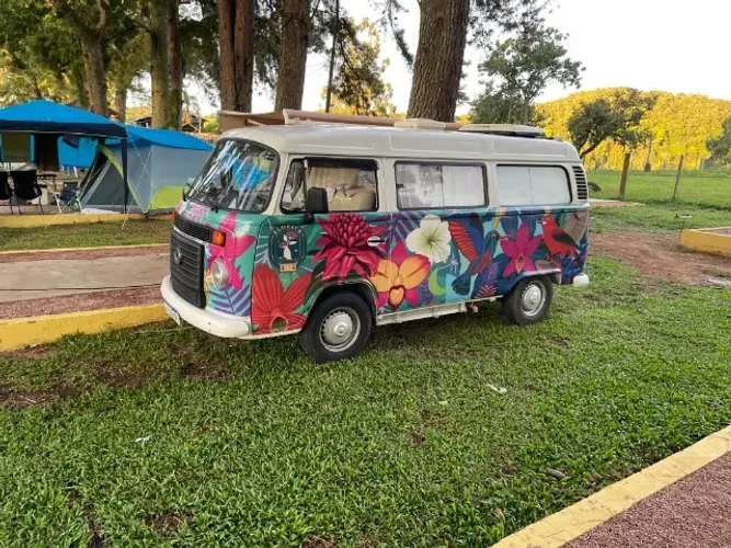 Volkswagen Kombi Standard 1.4 MI Total Flex 8V 2013