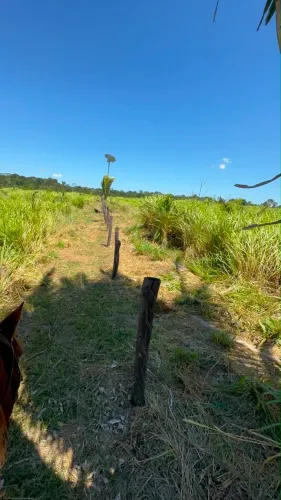 Fazenda de cultura 96,8 hectares 