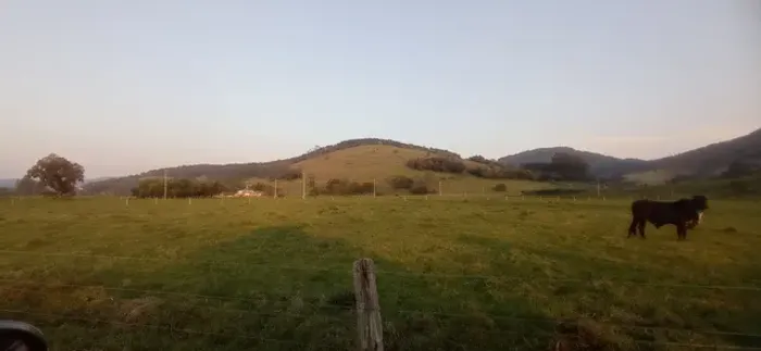 Chácara 28 Hectares em Rolante RS Área de Várzea Vista Panorâmica Potreiro