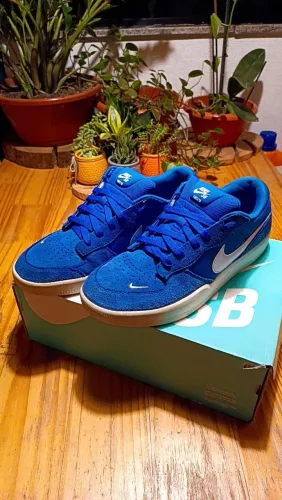 Tênis Nike SB Force 58 - 42/43
