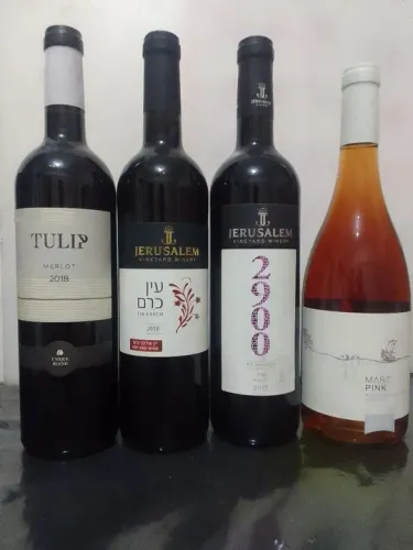 VINHOS IMPORTADOS ISRAELENSES EM PROMOÇÃO 