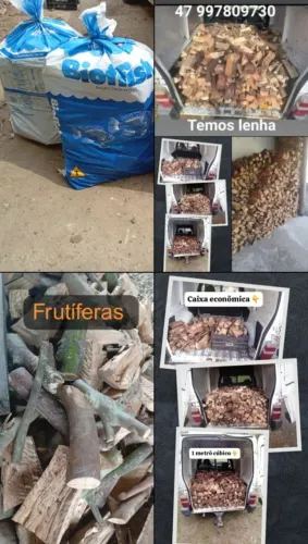 Defumação frutíferas lenha 