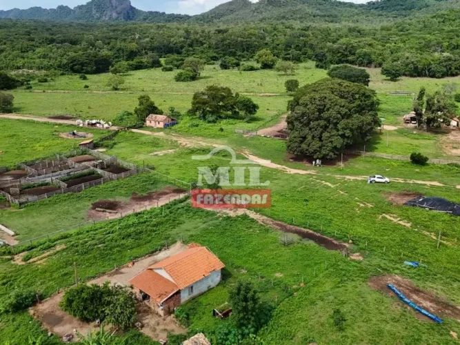 Fazenda 210 alqueires (1016 hectares) Natividade - TO