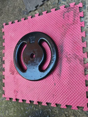 Anilha de Peso 20kg - Academia e Exercícios