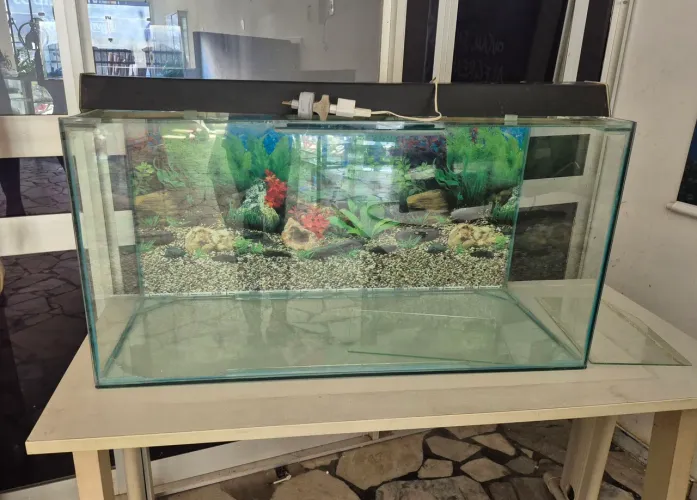 Aquário decorativo para casa com 1 metro por 50 de alt
