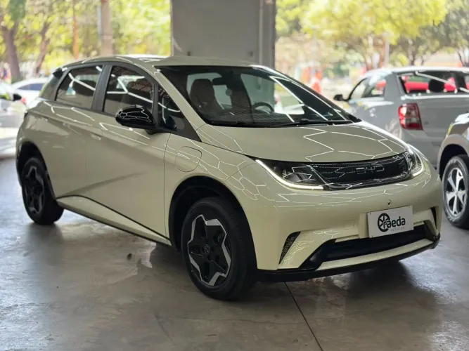 BYD Dolphin GS (Elétrico) 2024