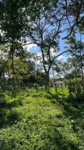 Terreno no Mosqueiro com Área de 570m² para Moradia ou Investimento