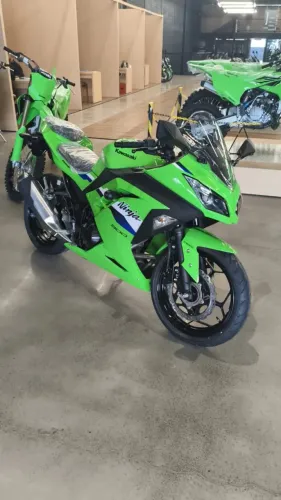 Ninja 300