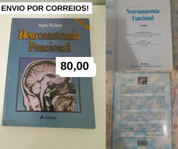 Neuroanatomia Funcional livro de Medicina