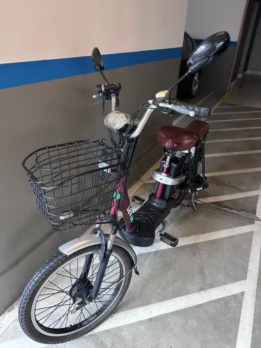 Bicicleta Elétrica E.Bike-S Lev 36V com 2 Bancos, Cesta e Acessórios