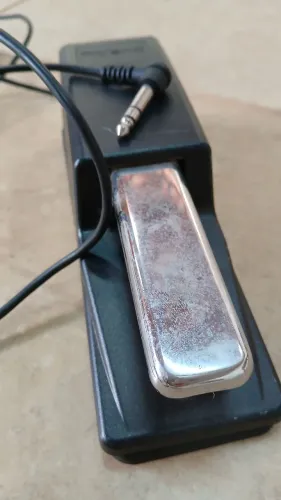 Pedal sustain roland