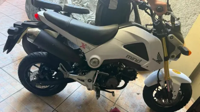 MINI HORNET 50C