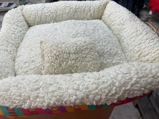 Cama PET