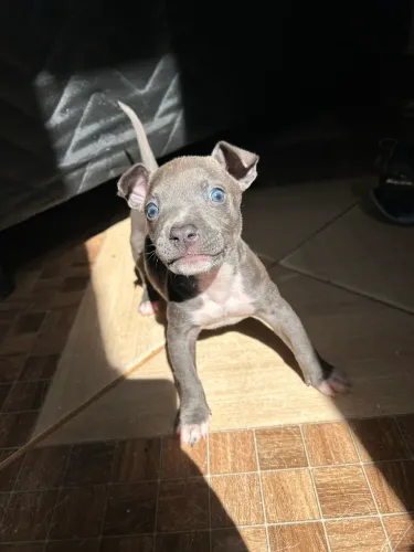 Pit monster