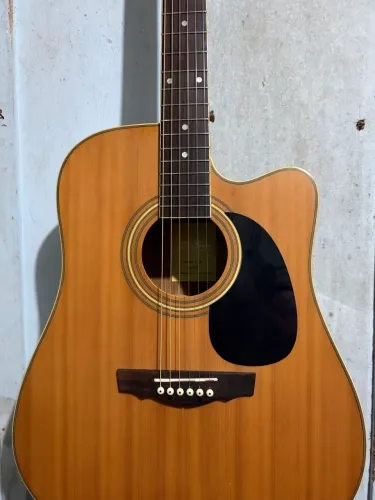Violão Di Giorgio F104