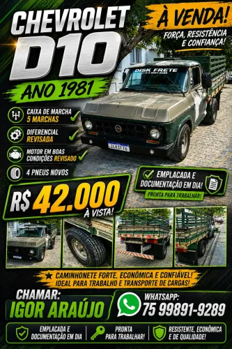 Chevrolet D-10 Diesel 1984
