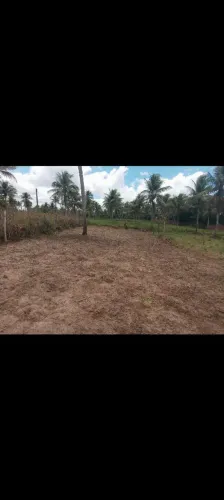 Vendo terreno em Acajutiba