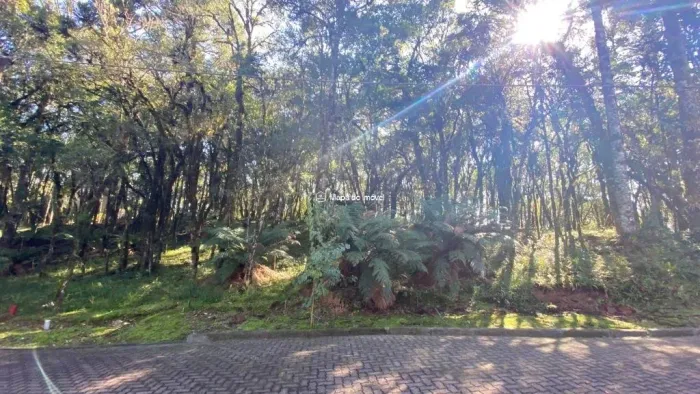 Terreno no Condomínio Pinheiro Grosso - Canela/RS