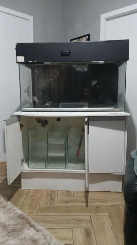Aquário