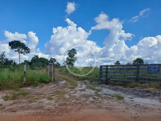Fazenda no Município de Vilhena codigo: 345875
