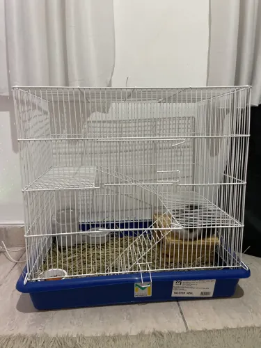 Gaiola Para Porquinho da Índia e Hamster