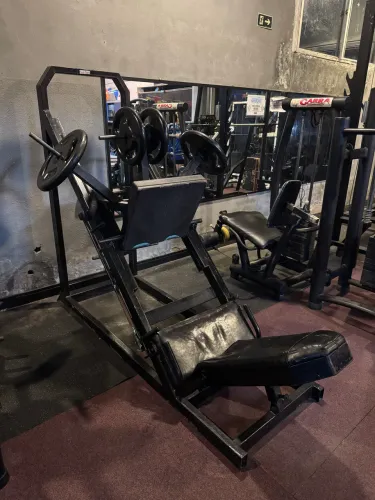 Leg press 45