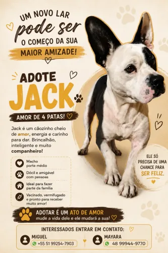 Adote Jack