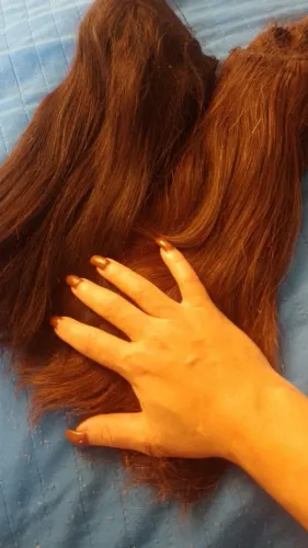Cabelo humano pronto já na tela, hidratado,  6 telas sendo 3 pretas e 3 morenas  , 50 cm