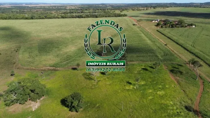 Fazenda 14.5 Alqueires Dupla Aptidão