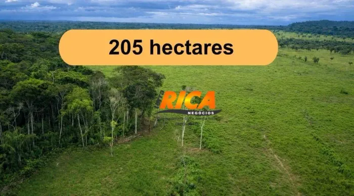 Vende-se Linda Fazenda , com 205 hectares na Área rural de Guajará-Mirim/RO