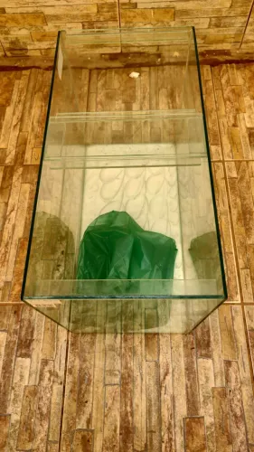Aquário 